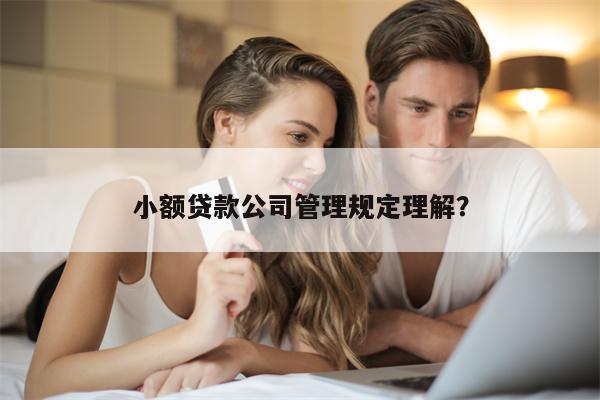 小额贷款公司管理规定理解?