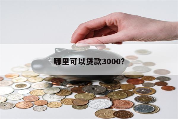 哪里可以贷款3000?