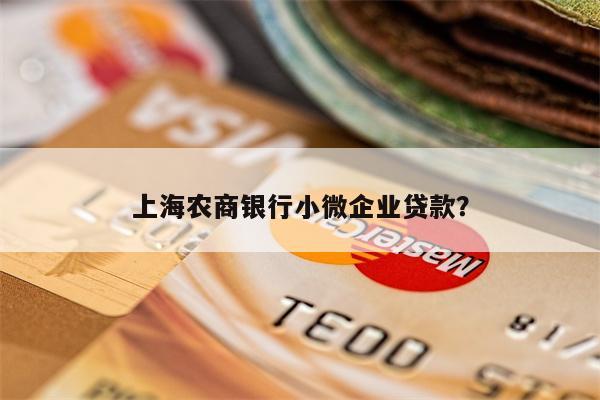 上海农商银行小微企业贷款?