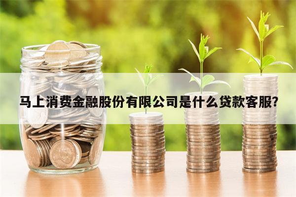 马上消费金融股份有限公司是什么贷款客服?