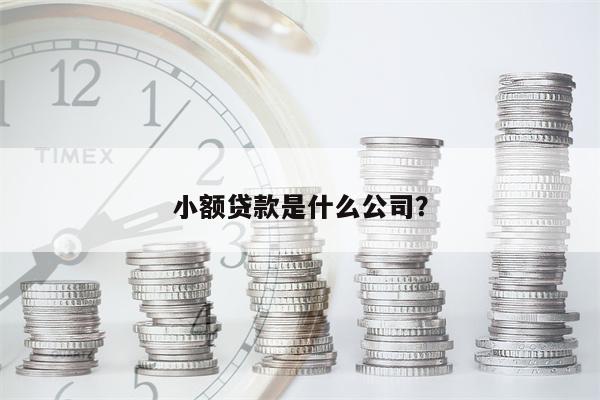 小额贷款是什么公司?