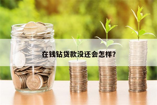 在钱钻贷款没还会怎样?