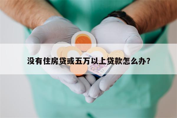 没有住房贷或五万以上贷款怎么办?