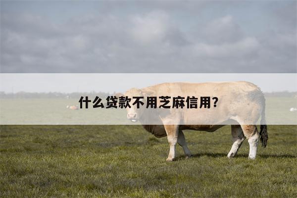 什么贷款不用芝麻信用?