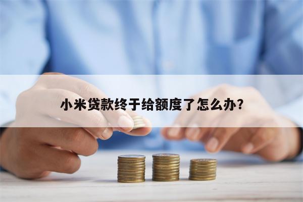 小米贷款终于给额度了怎么办?