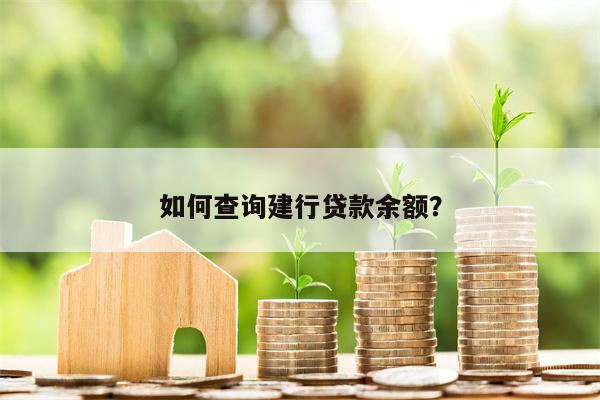 如何查询建行贷款余额?