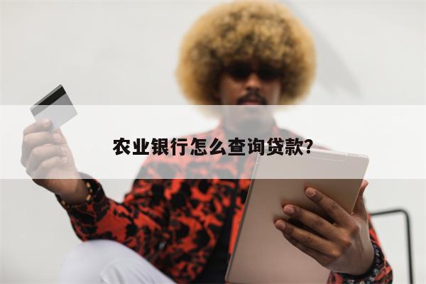 农业银行怎么查询贷款?