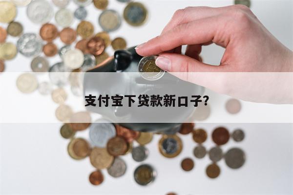 支付宝下贷款新口子?
