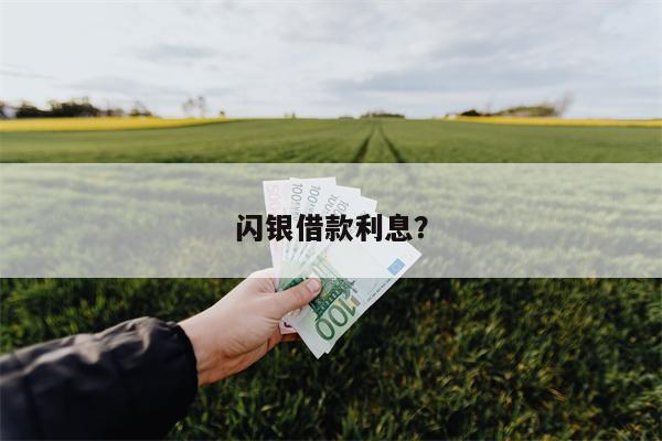闪银借款利息?