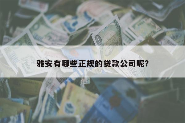 雅安有哪些正规的贷款公司呢?