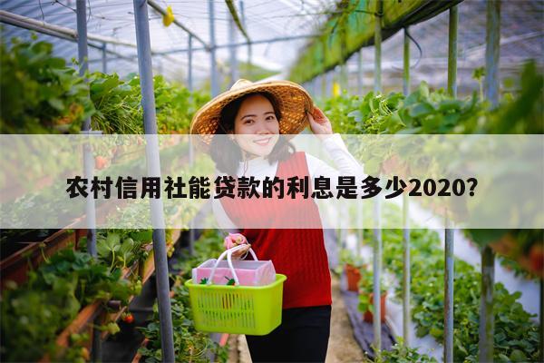 农村信用社能贷款的利息是多少2020?