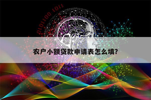 农户小额贷款申请表怎么填?