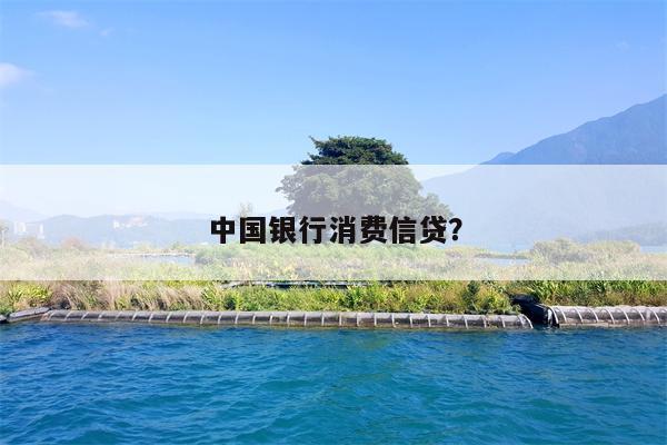中国银行消费信贷?