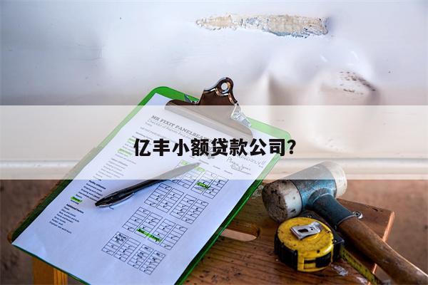 亿丰小额贷款公司?