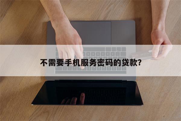 不需要手机服务密码的贷款?