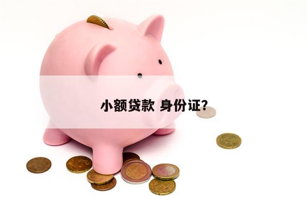 小额贷款 身份证?
