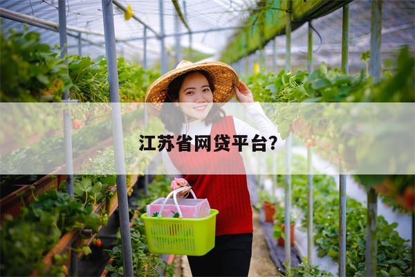 江苏省网贷平台?