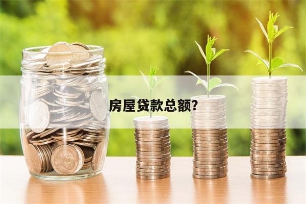 房屋贷款总额?