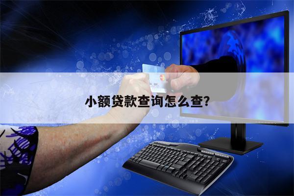 小额贷款查询怎么查?