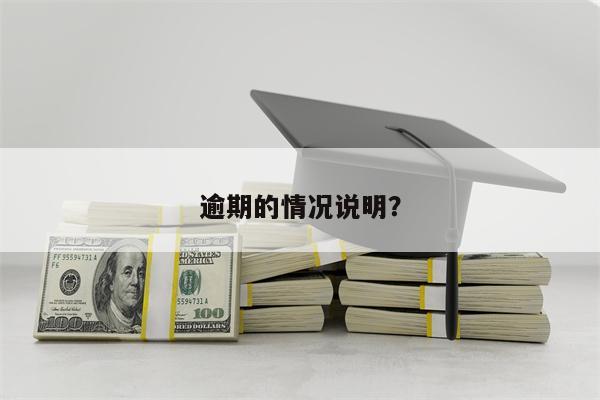 逾期的情况说明?