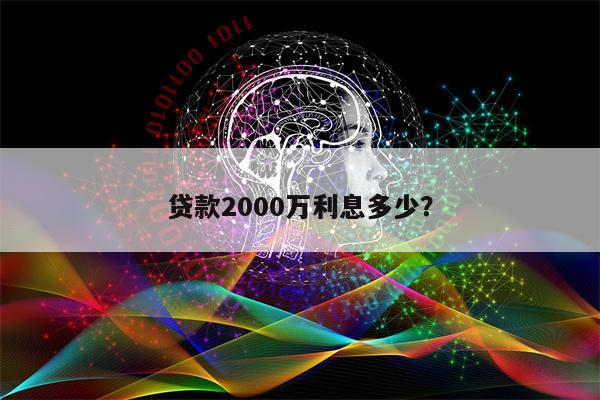 贷款2000万利息多少?