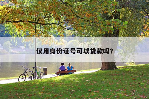 仅用身份证号可以贷款吗?