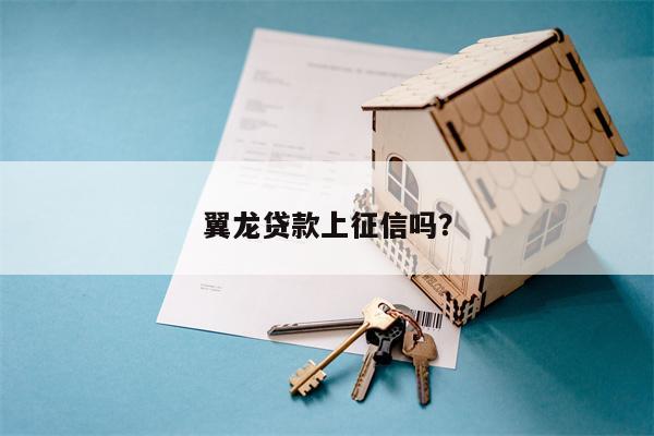 翼龙贷款上征信吗?