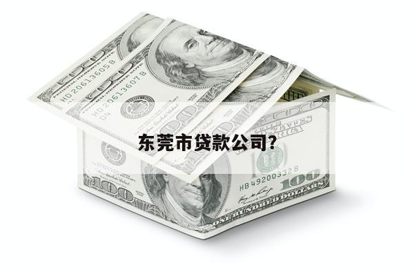 东莞市贷款公司?