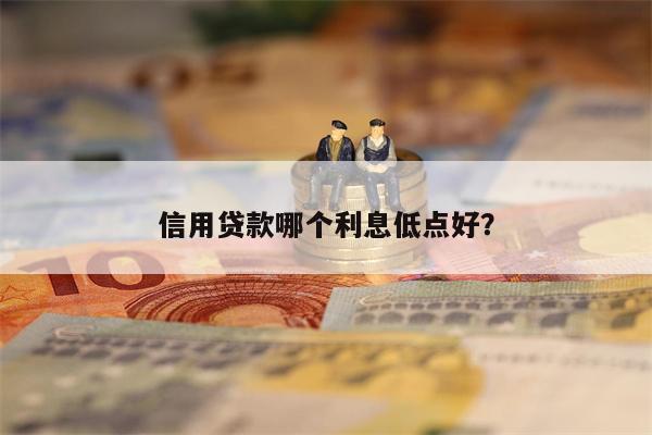 信用贷款哪个利息低点好?