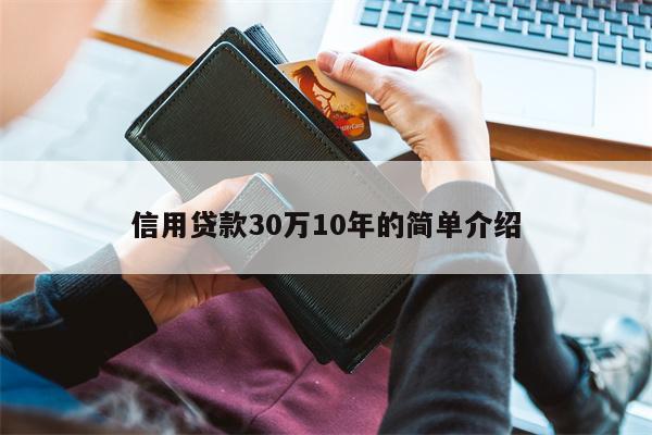 信用贷款30万10年的简单介绍