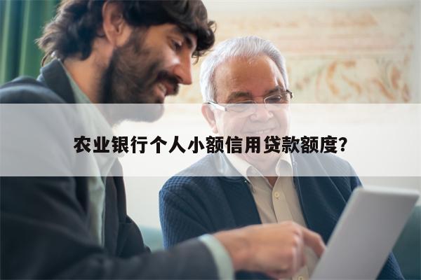 农业银行个人小额信用贷款额度?