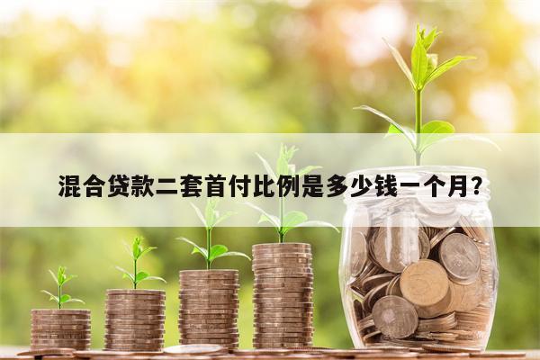 混合贷款二套首付比例是多少钱一个月?