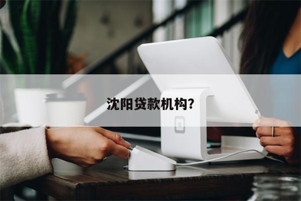 沈阳贷款机构?