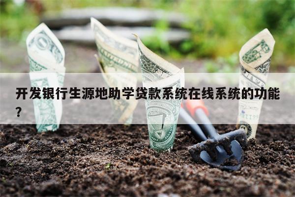 开发银行生源地助学贷款系统在线系统的功能?