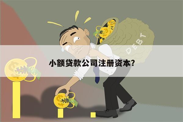 小额贷款公司注册资本?