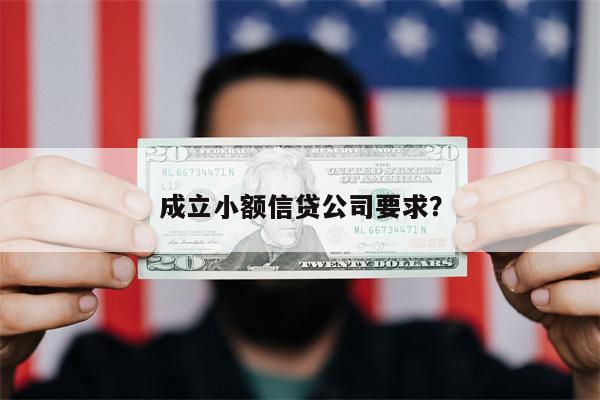 成立小额信贷公司要求?