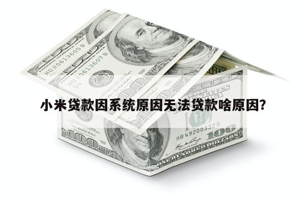 小米贷款因系统原因无法贷款啥原因?