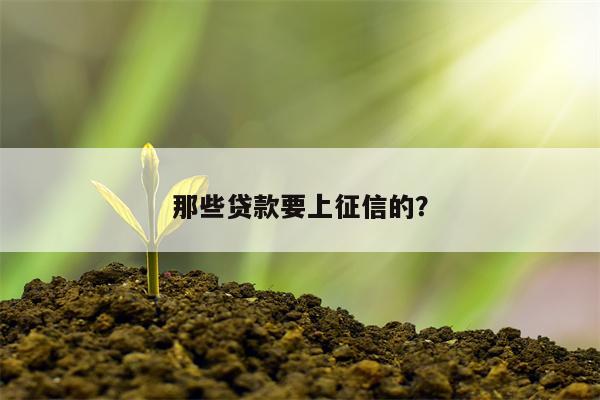 那些贷款要上征信的?