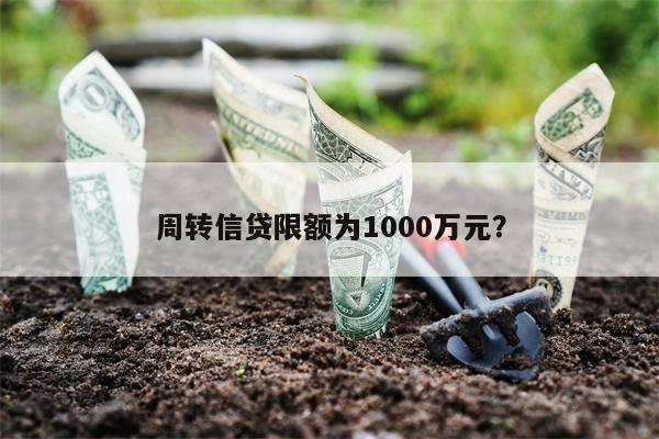 周转信贷限额为1000万元?
