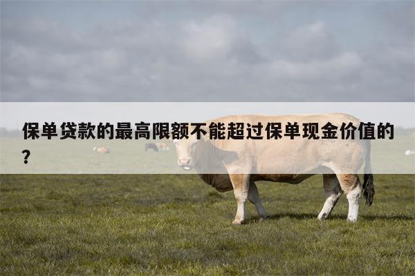 保单贷款的最高限额不能超过保单现金价值的?