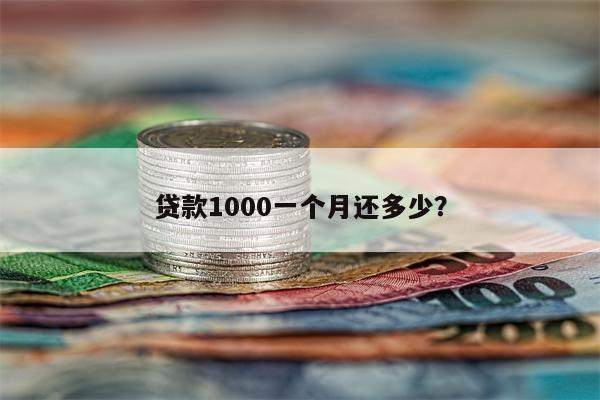 贷款1000一个月还多少?