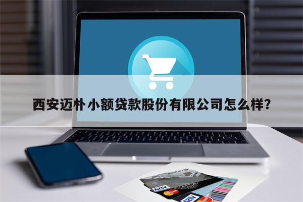 西安迈朴小额贷款股份有限公司怎么样?