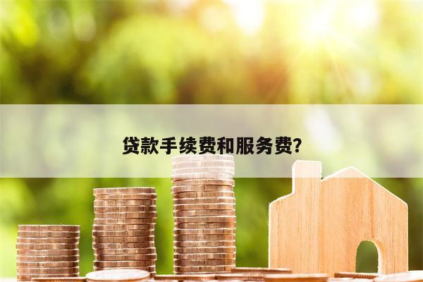 贷款手续费和服务费?