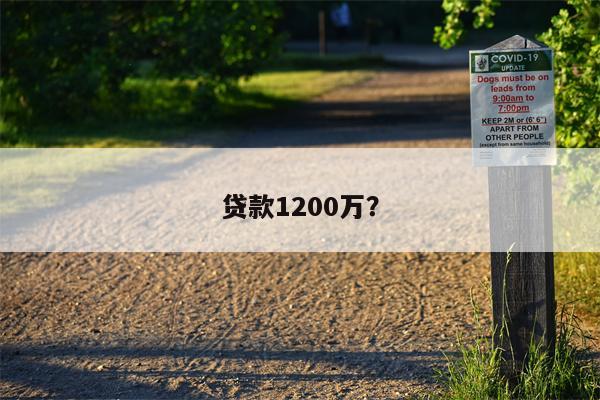 贷款1200万?