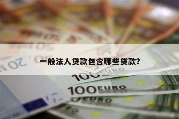 一般法人贷款包含哪些贷款?
