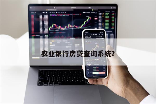 农业银行房贷查询系统?