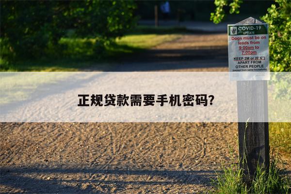 正规贷款需要手机密码?