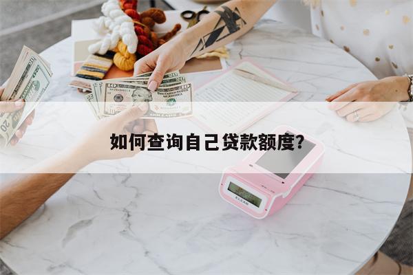 如何查询自己贷款额度?