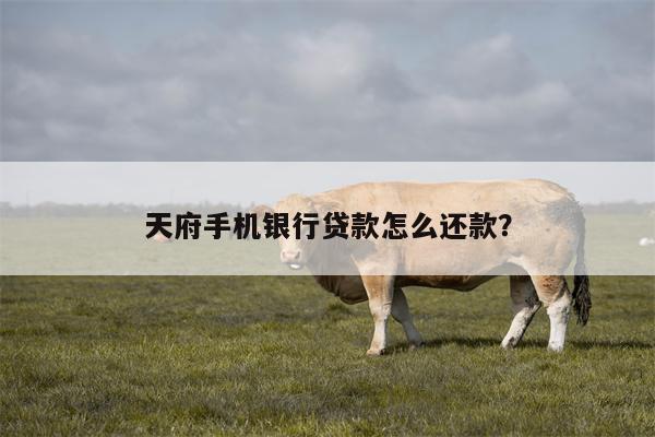 天府手机银行贷款怎么还款?