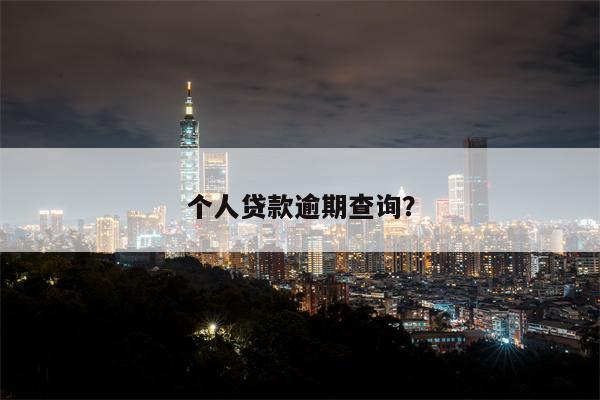 个人贷款逾期查询?